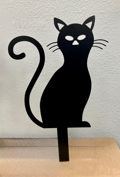 Spooky Cat